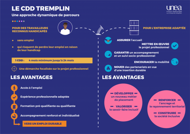 Explications sur ce qu'est un CDD Tremplin